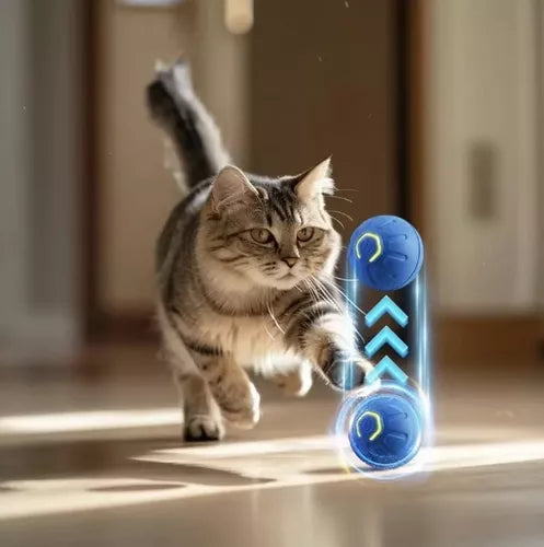 Pelota Inteligente Para Mascotas