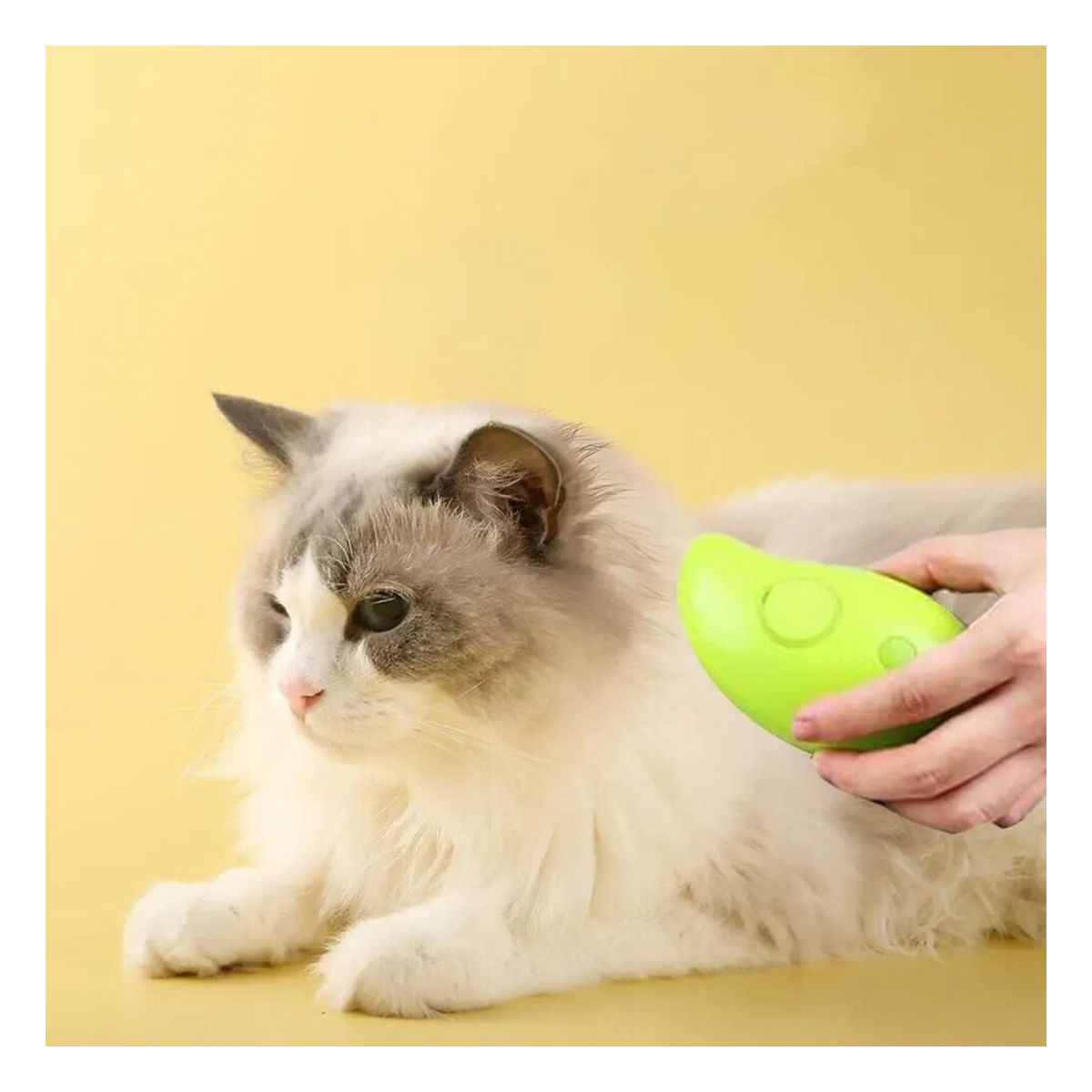🎁 Cepillo vapor para mascota