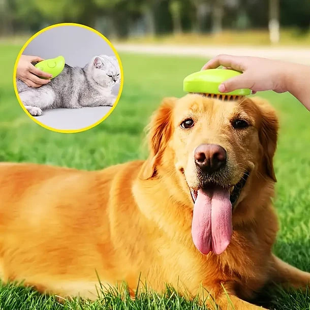 🎁 Cepillo vapor para mascota